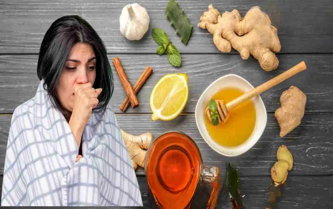 বারবার কাশি হচ্ছে? পুষ্টিবিদ ডিম্পল জাংড়ার এই ৫টি ঘরোয়া প্রতিকারে মিলবে দ্রুত উপশম