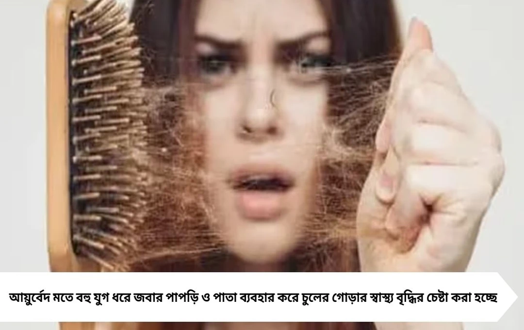 Haircare Tips: টাকে নতুন চুল গজাবে জবা ফুলে ২ সপ্তাহেই মিলবে ফল, জানুন ঘরোয়া টোটকা