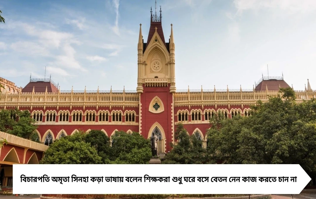 BLO ডিউটি নিয়ে প্রাথমিক শিক্ষকদের অনীহা, আদালতে ক্ষোভ প্রকাশ করলেন বিচারপতি অমৃতা সিনহা