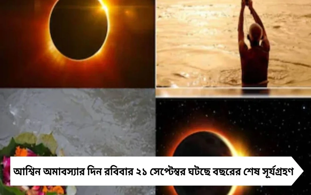 মহালয়া সূর্যগ্রহণ 2025: এড়িয়ে চলুন এই ৫ খাবার, না হলে ভোগাতে পারে রোগ-অভিশাপ