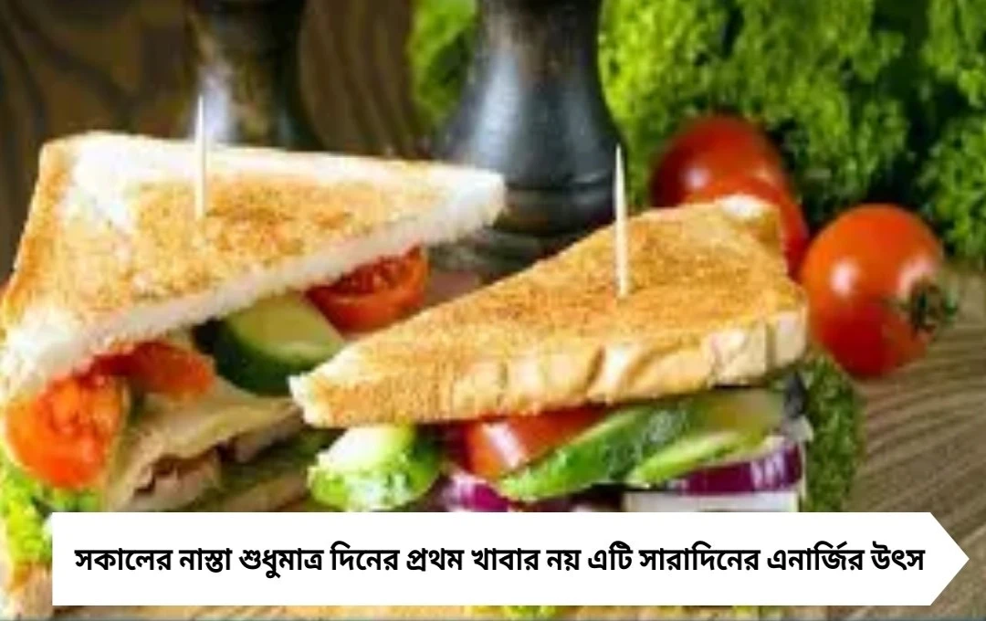 ৫ মিনিটে হেলদি ব্রেকফাস্ট: দিন শুরু হোক টেস্টি ও পুষ্টিকর খাবারে
