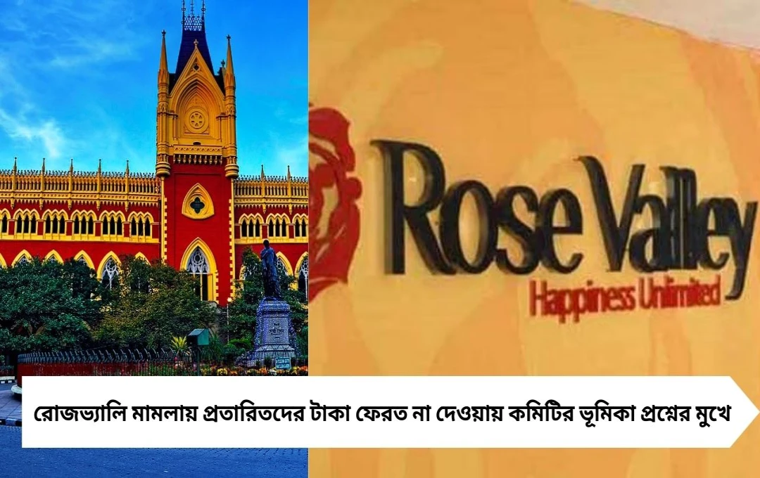 রোজভ্যালি কমিটির অনিয়মে ফরেন্সিক অডিটের নির্দেশ, তদন্তে নামছে সেবি