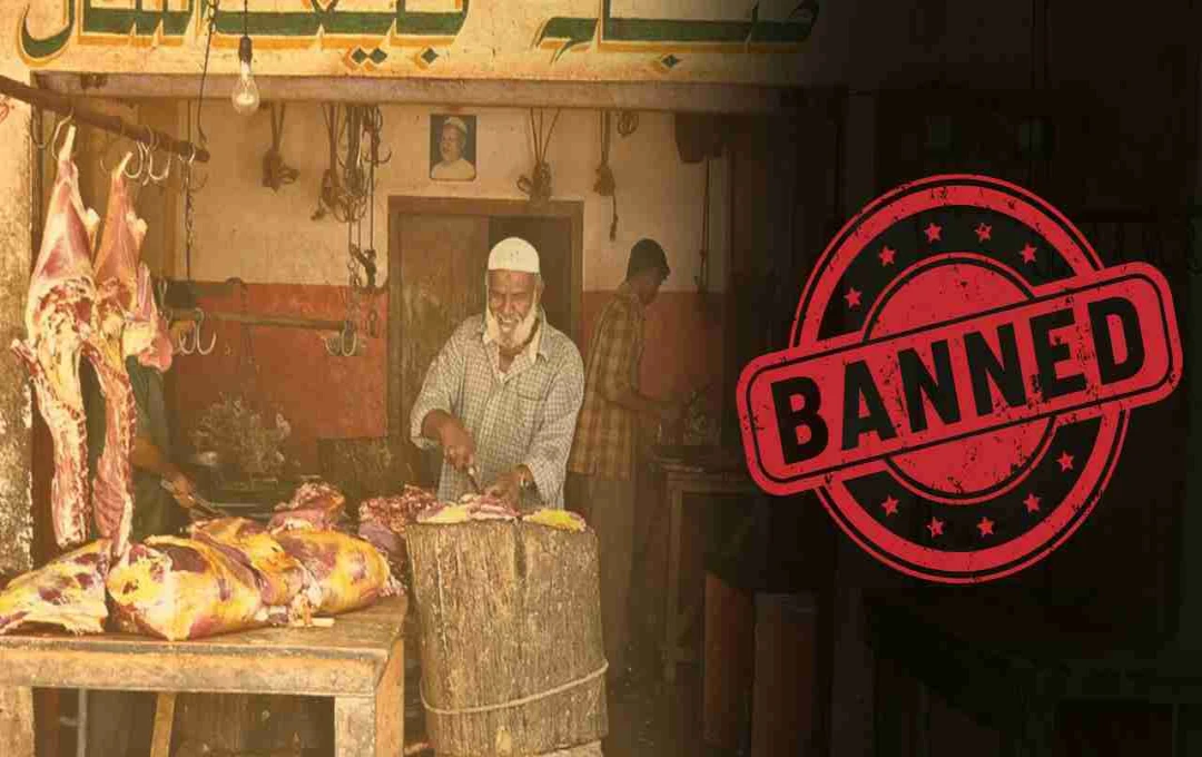 SDM दिव्या पटेल का बड़ा आदेश, नवरात्र में मांस-मछली और अंडे की बिक्री पर रोक
