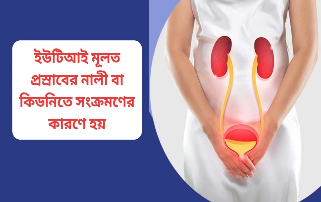 UTI: শুধু নারীর নয়, পুরুষদের ক্ষেত্রেও বিপজ্জনক সংক্রমণ