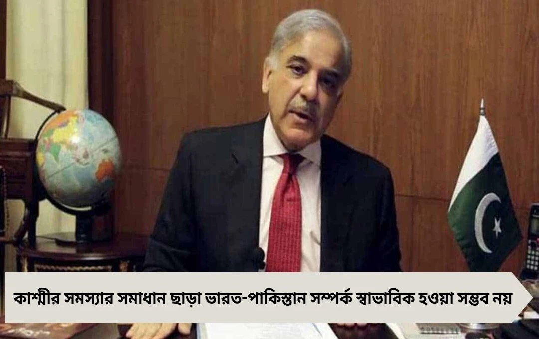 কাশ্মীর ইস্যু ছাড়া ভারত-পাক সম্পর্ক অসম্ভব: লন্ডনে শাহবাজ শরিফের হুঁশিয়ারি