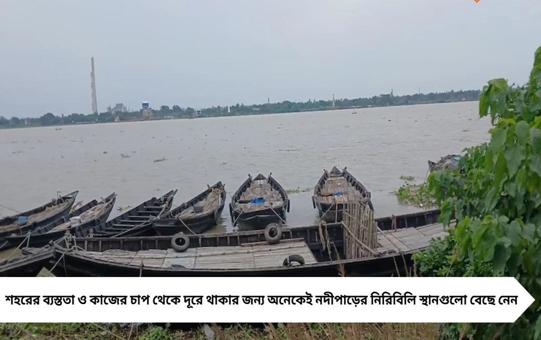 কলকাতার কাছে হুগলি নদীর তীরে নিঃশব্দ সবুজে ভরা পার্ক