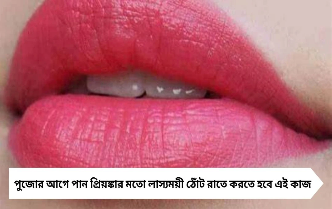 লাস্যময়ী ঠোঁটের যত্নে ঘরোয়া টিপস: পুজোর আগে প্রাকৃতিক উপায়ে ফিরে পান গোলাপি আভা