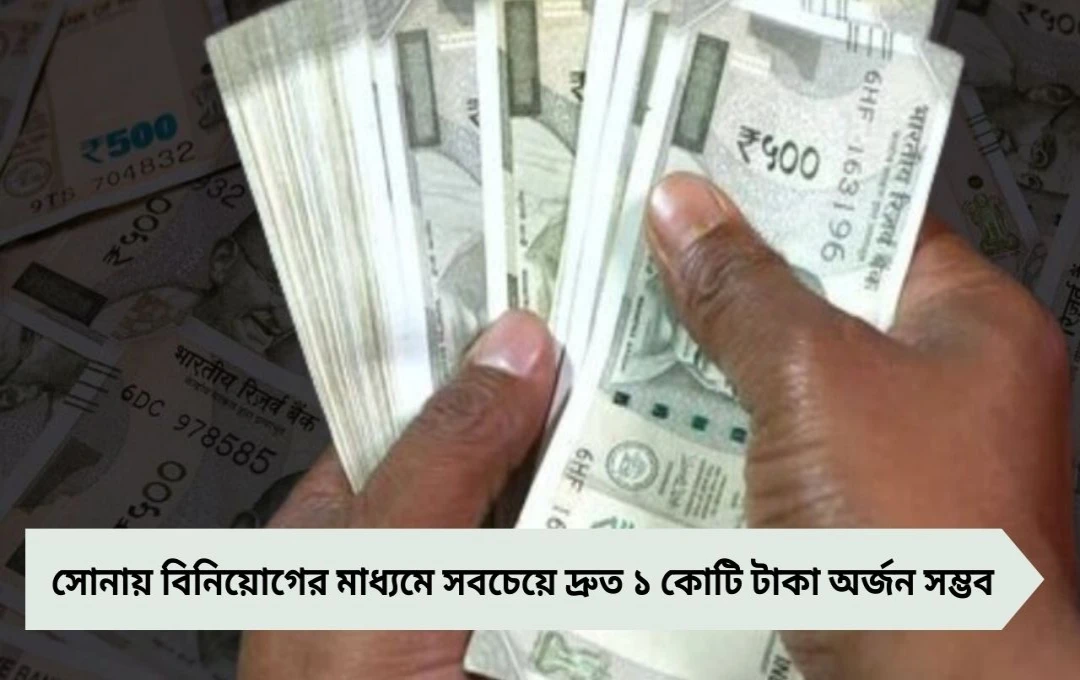 SIP, PPF না সোনা: মাসে ১০,০০০ টাকা বিনিয়োগে কে আগে কোটিপতি?
