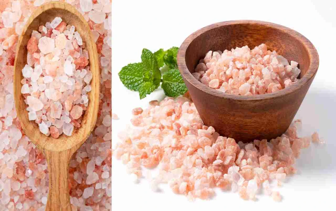 काला नमक: सफेद नमक की जगह क्यों है फायदेमंद, जानें सेहत के लाभ
