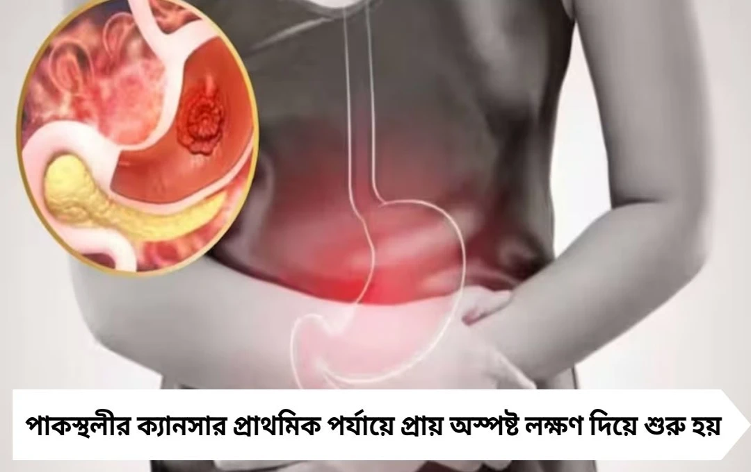 পাকস্থলীর ক্যানসারের লক্ষণ: পেটের কর্কট রোগ কেমন বোঝবেন?