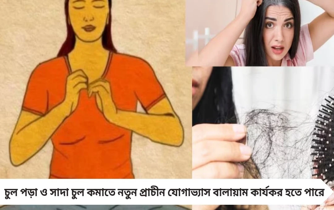 সাদা চুল ও চুল পড়া রোধে নতুন ট্রিক? বালায়াম যোগের সত্যি উপকারিতা