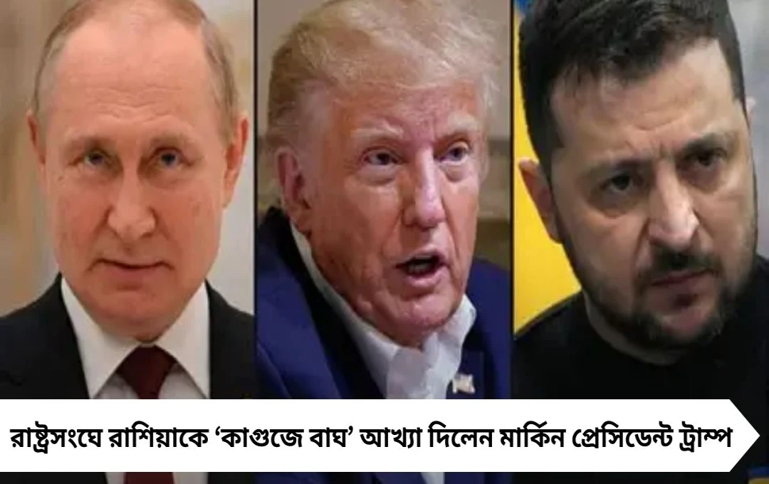 রাশিয়াকে ‘কাগজের বাঘ’ বললেন ট্রাম্প, পাল্টা গর্জন ক্রেমলিনের