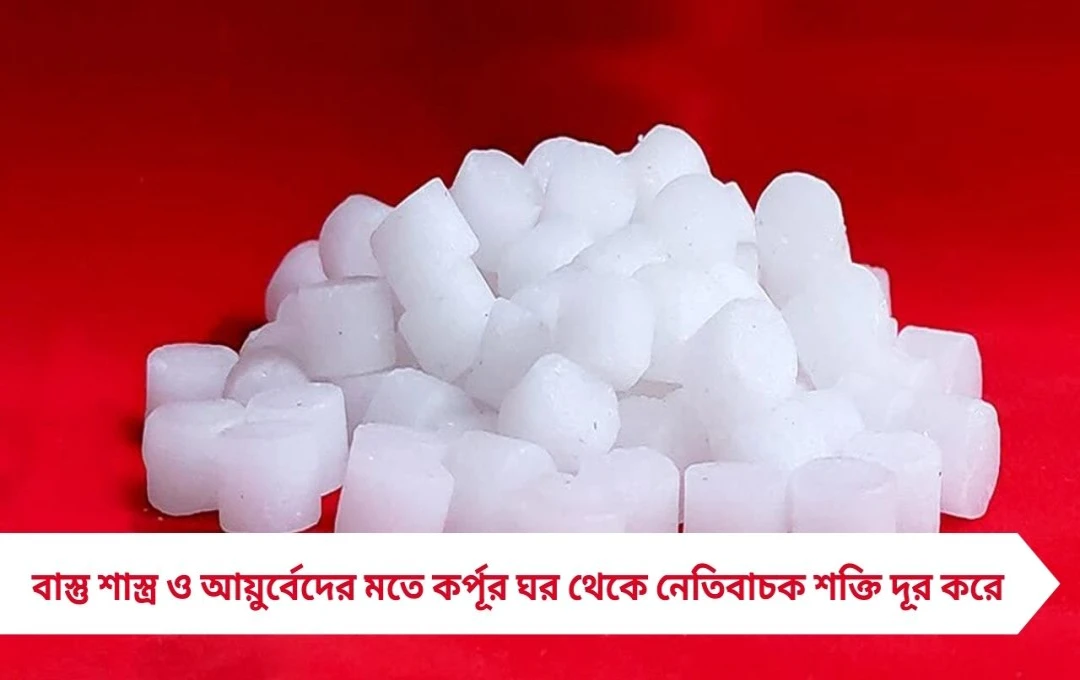 বাস্তু টোটকায় কর্পূর: অশুভ শক্তিকে ঘর থেকে দূরে রাখার সহজ ও কার্যকর উপায়