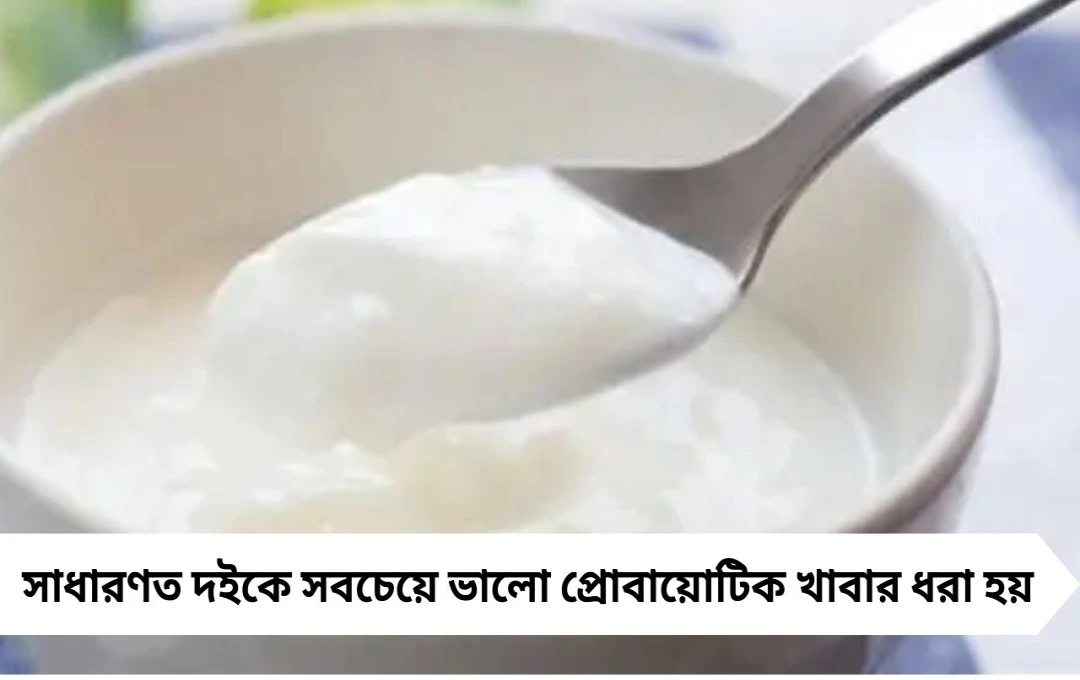 দই না খেলেও মিলবে প্রোবায়োটিক: জেনে নিন কোন খাবারগুলো সবচেয়ে কার্যকর