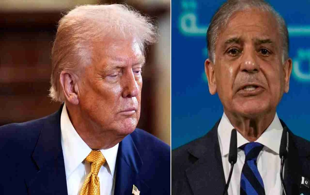 Pakistan-US Meeting: Unpacking the Showmanship, Self-Interest, and Military's Influence