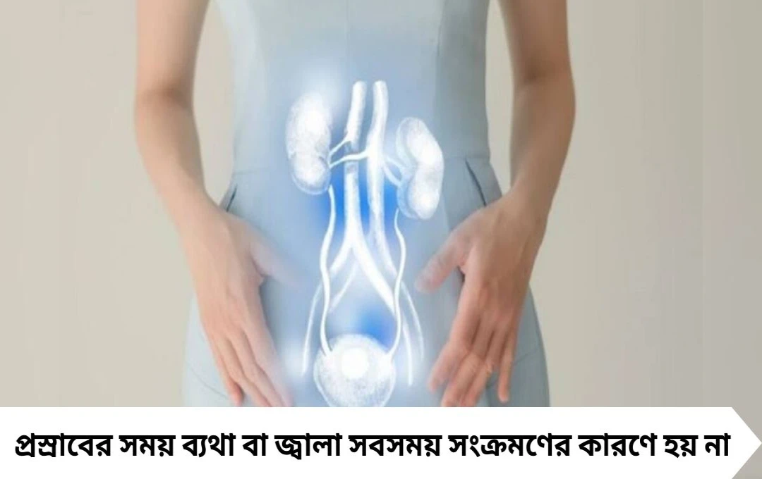 প্রস্রাবের সময় জ্বালা? সংক্রমণ নয়, আরও নানা কারণে হতে পারে সমস্যা