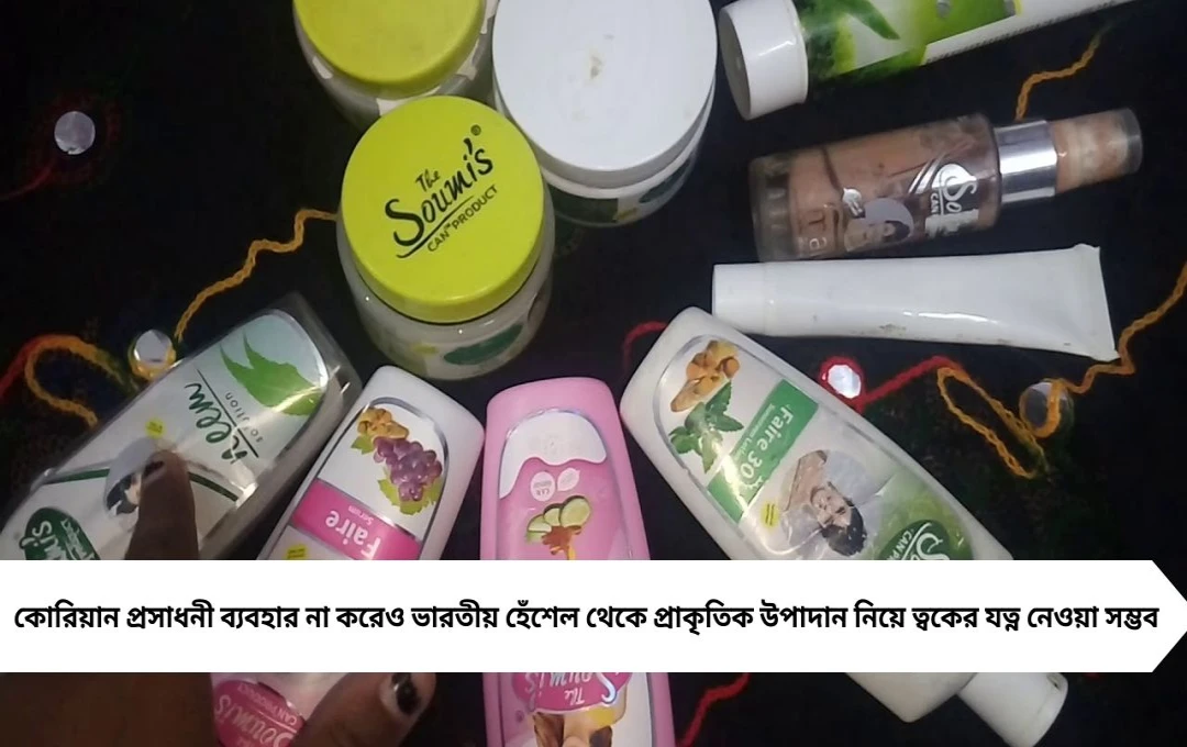দাম দিয়ে কোরিয়ান প্রসাধনী কেন? ভারতীয় হেঁশেলেই আছে বিকল্প