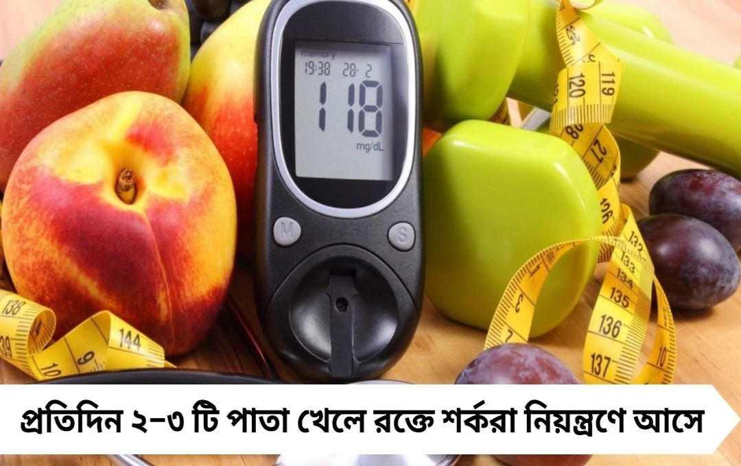 ডায়াবেটিস নিয়ন্ত্রণে ইনসুলিন গাছ: রোজ মাত্র ২ পাতা খেলে মিলবে আশ্চর্য ফল