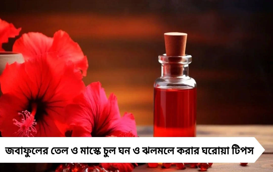 জবাফুলে চুল ঘন ও ঝলমলে: তেল ও মাস্কের ঘরোয়া টিপস
