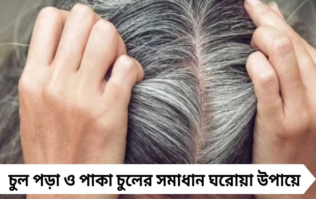 White Hair Removal: তেজপাতার জলে স্প্রে করলেই মিলবে কালো চুল, টাক পড়ার ভয় দূর!