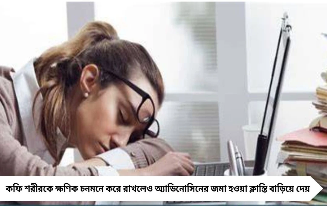 কফি খাওয়ার পরও ঘুম আসে? জানুন বৈজ্ঞানিক কারণ ও সমাধান