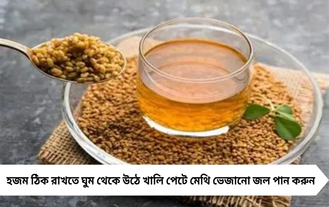 পুজোর দিনে মেথি ভেজানো জল খাওয়ার উপকারিতা: স্বাস্থ্য ও ওজন নিয়ন্ত্রণে সহায়ক