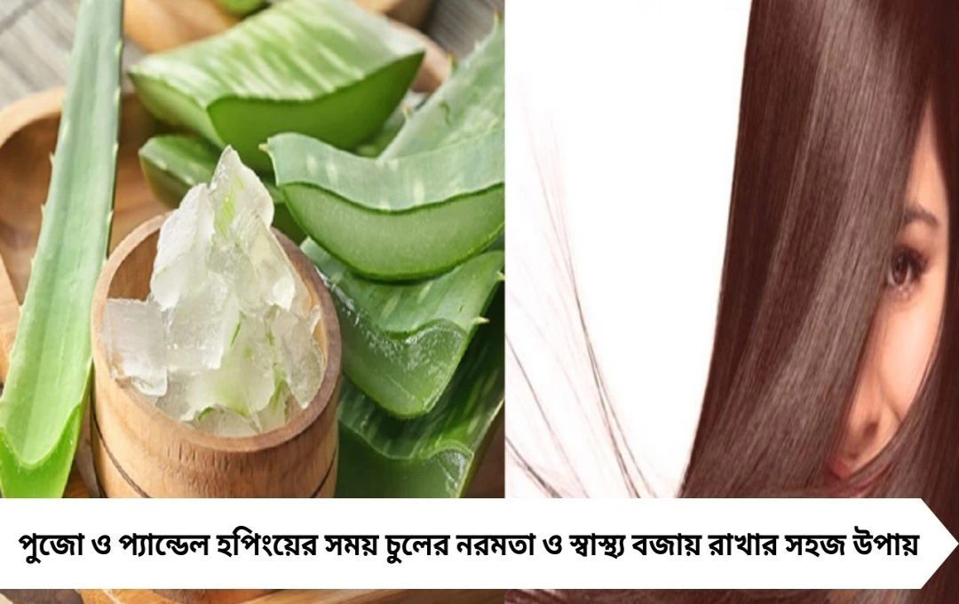 পার্লার না গেলেও, ঘরে বানান হোমমেড হেয়ার স্পা ক্রিম