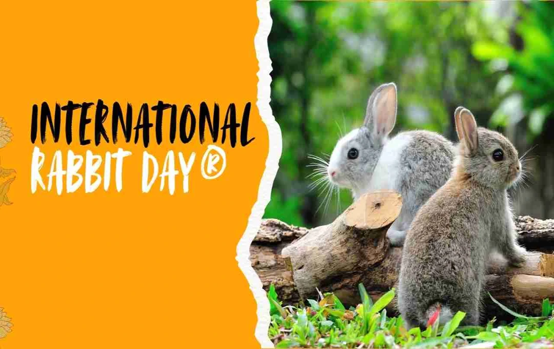 International Rabbit Day®: खरगोशों की सुरक्षा और जागरूकता फैलाना का दिन 
