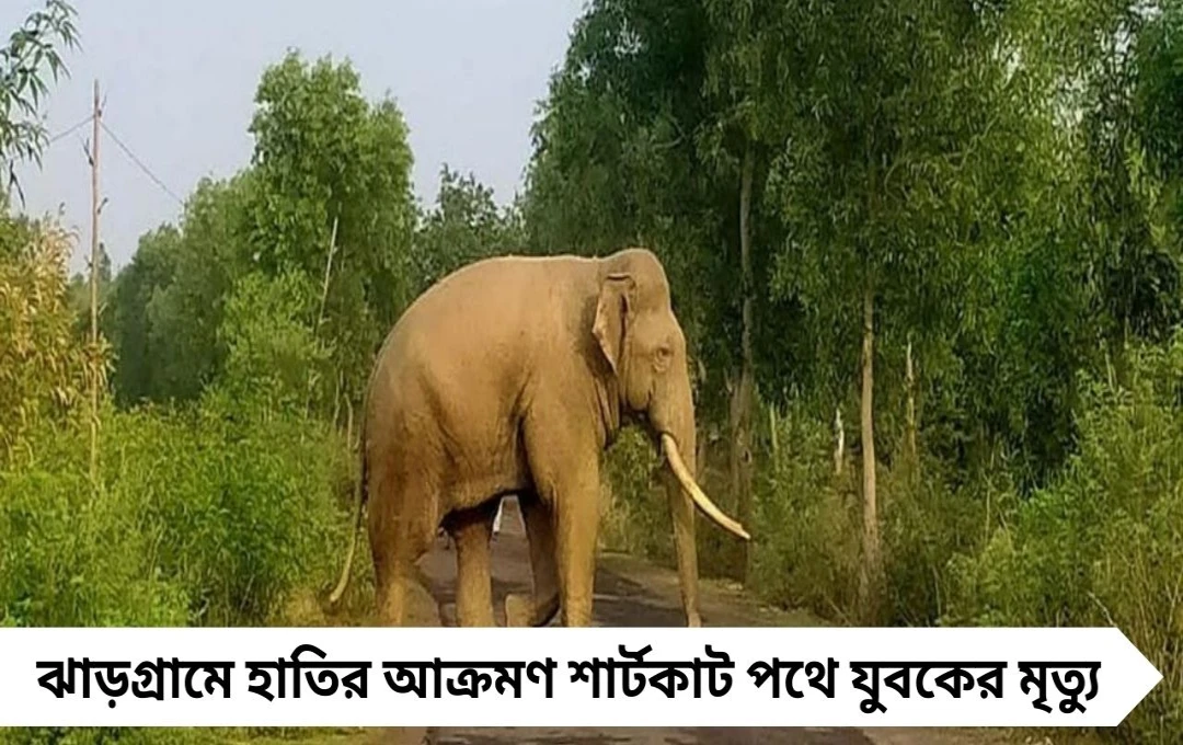 ঝাড়গ্রামে হাতির আক্রমণ শার্টকাট পথে ফেরার যুবকের মৃত্যু !