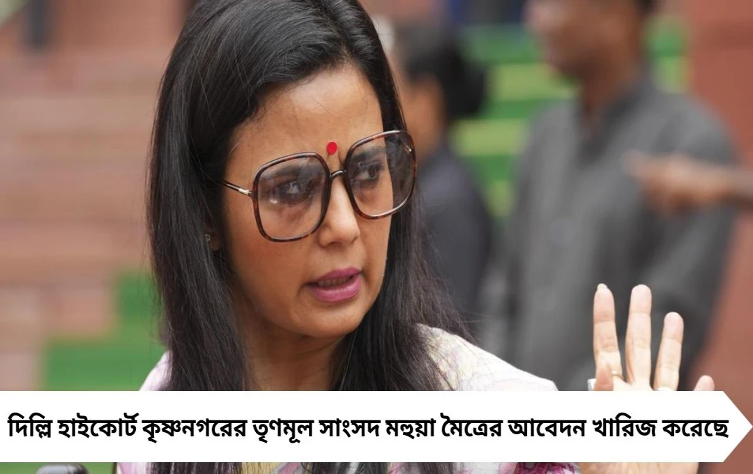 মহুয়া মৈত্রের আবেদন খারিজ দিল্লি হাইকোর্টে, রাজনৈতিক অস্বস্তি বৃদ্ধি