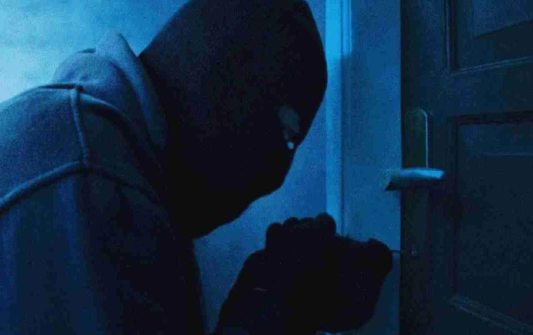 Retired IAS Officer's Noida Home Robbed by Domestic Helper, Organized Gang Suspected