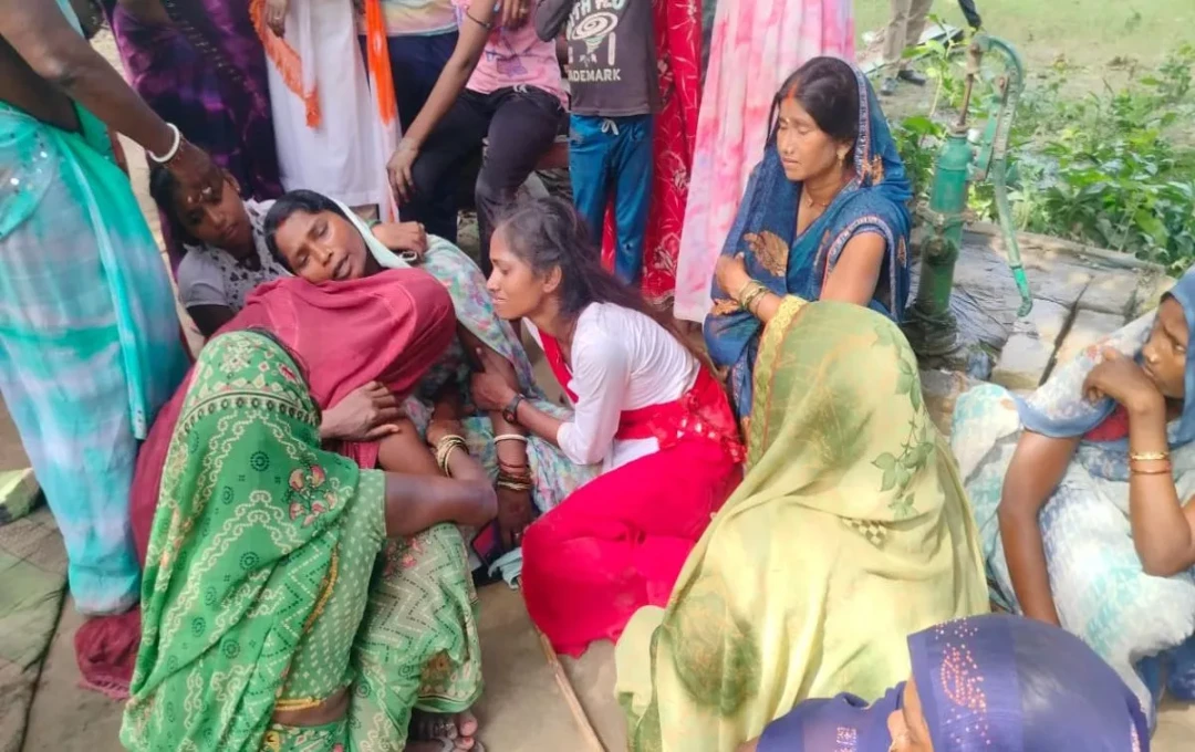बहराइच में भेड़िए ने की दंपती पर वार, ग्रामीणों ने एसडीओ की गाड़ी तोड़ी