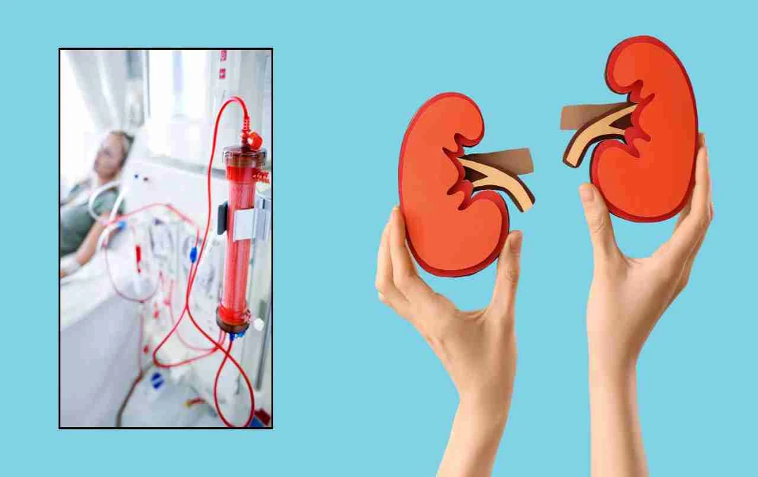 किडनी डायलिसिस में आहार का सही चुनाव, जानिए किन बातों को न करें इग्नोर
