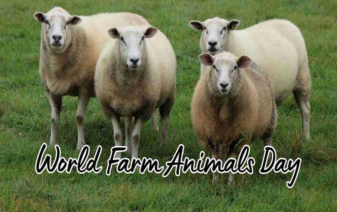 World Farm Animals Day: जानवरों के प्रति जागरूकता फैलाने का दिन