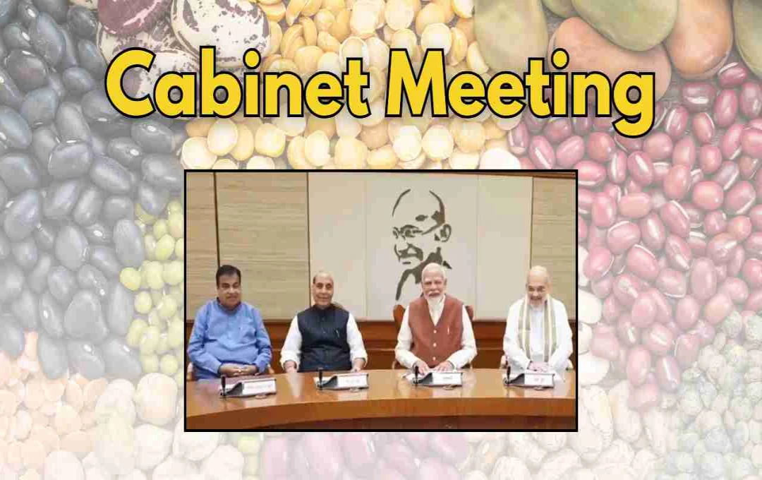 कैबिनेट मीटिंग 2025: सरकार ने दाल उत्पादन में आत्मनिर्भरता के लिए 11,440 करोड़ रुपये के मिशन को दी मंजूरी 