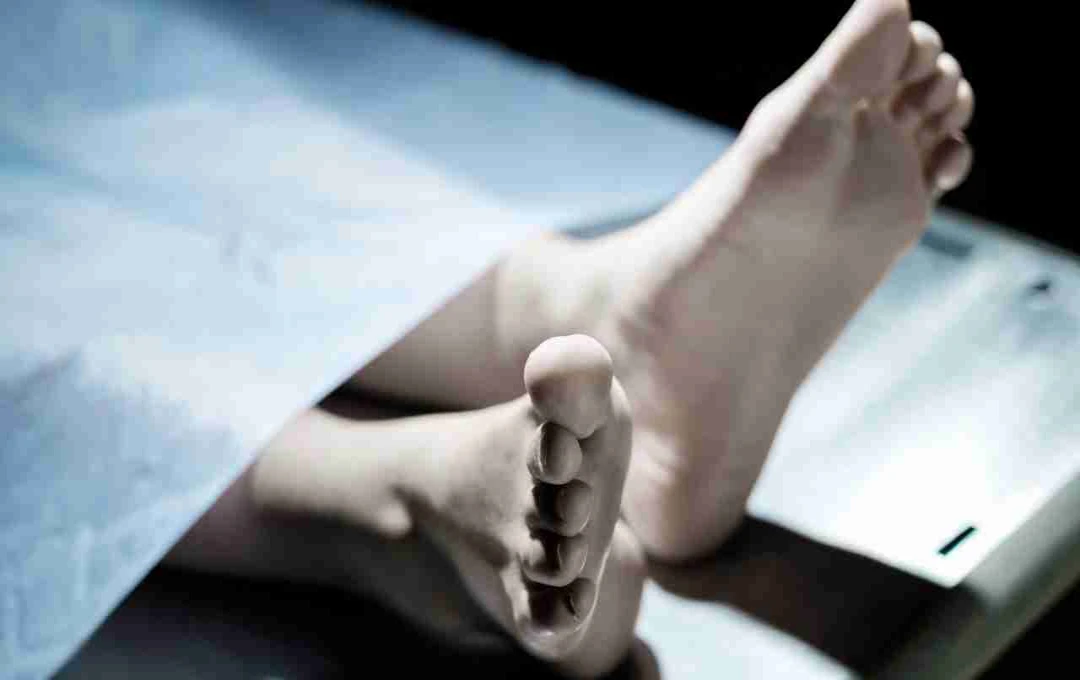 करनाल-मुजफ्फरनगर रोड हादसा, गाड़ी-ट्रक की टक्कर से 6 लोगों की मौत
