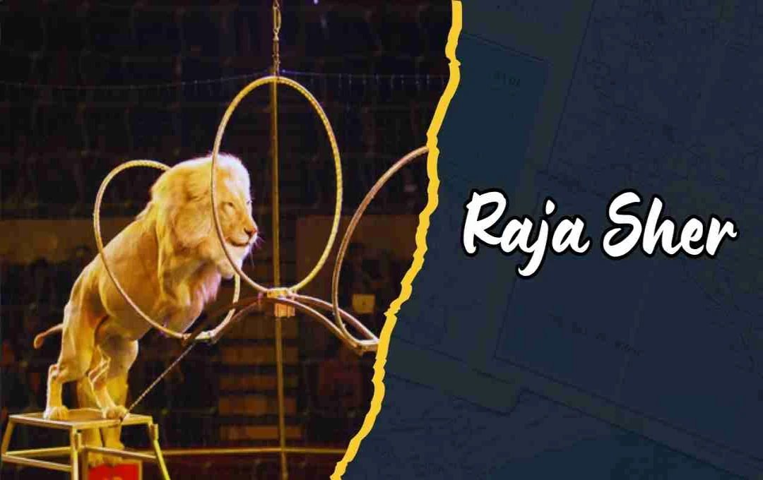 राजा शेर: सर्कस में हँसी और रोमांच का सितारा