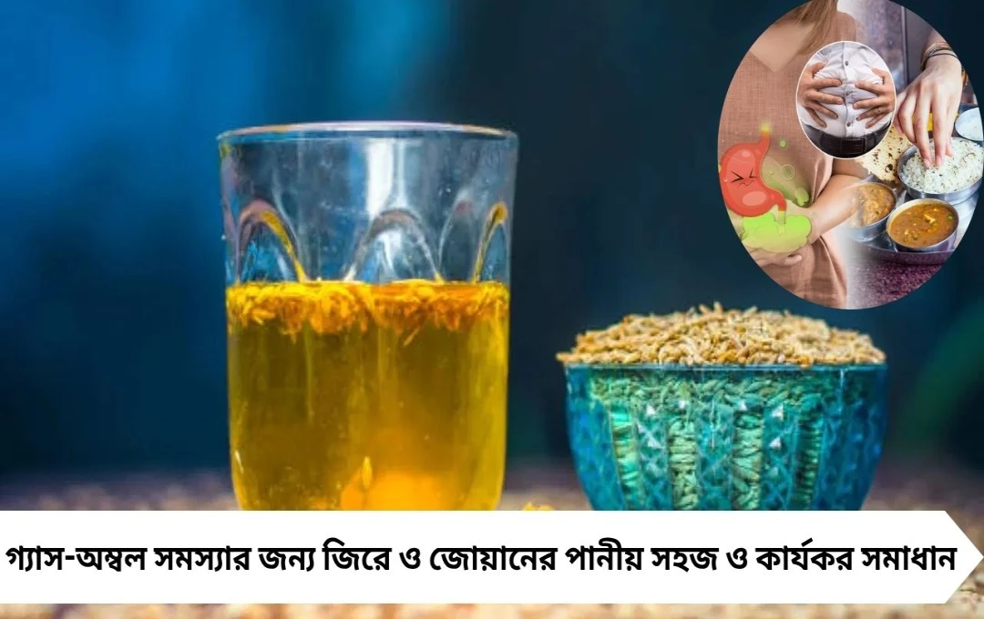 মাটন খেয়ে অম্বল? অ্যান্টাসিড নয়, জিরে-জোয়ানের পানীয়েই হবে কাজ
