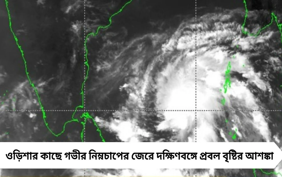 গভীর নিম্নচাপের প্রভাবে বিপদ আশঙ্কা, চার জেলাকে সতর্ক থাকার নির্দেশ নবান্নর
