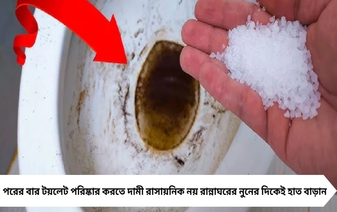 ঘিনঘিনে টয়লেটের গন্ধ দূর হবে এক চিমটে নুনেই! ঘরোয়া টিপসে মিলবে আশ্চর্য ফল