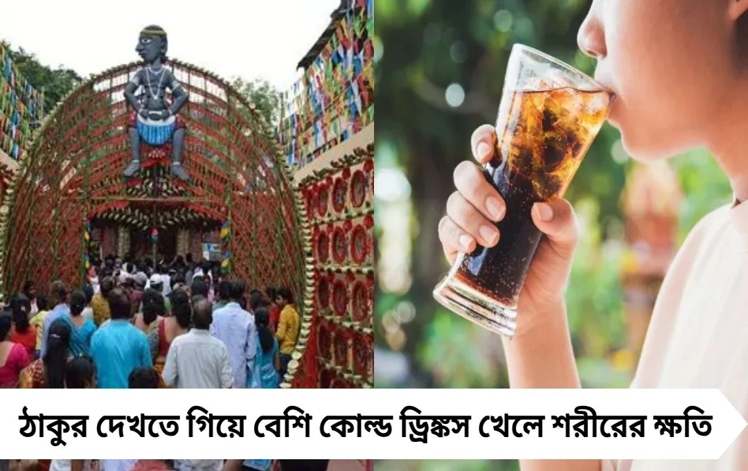 Durga Puja 2025: ঠাকুর দেখতে বেরিয়ে যেভাবে কোল্ড ড্রিঙ্কস খাচ্ছেন, শরীরের ভেতরে যা ঘটে