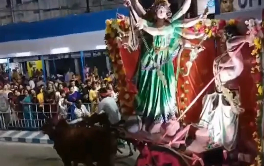 रामकोला में दुर्गा विसर्जन जुलूस पर मधुमक्खियों का हमला: 36 श्रद्धालु घायल