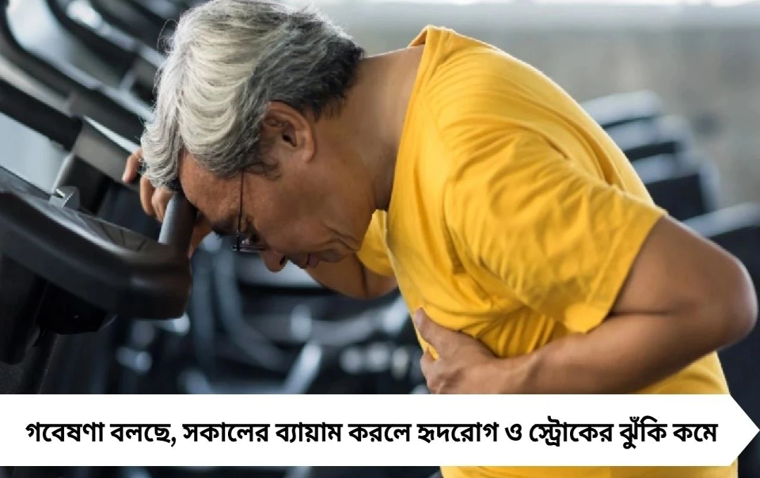 ভোরের জগিং না সান্ধ্যকালীন জিম: হৃদযন্ত্রের জন্য কোনটি শ্রেষ্ঠ?