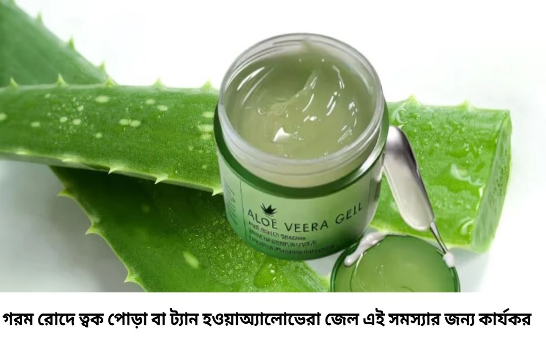 সানবার্ন দূর করতে অ্যালোভেরা: কীভাবে ব্যবহার করলে দ্রুত ফলাফল পাবেন