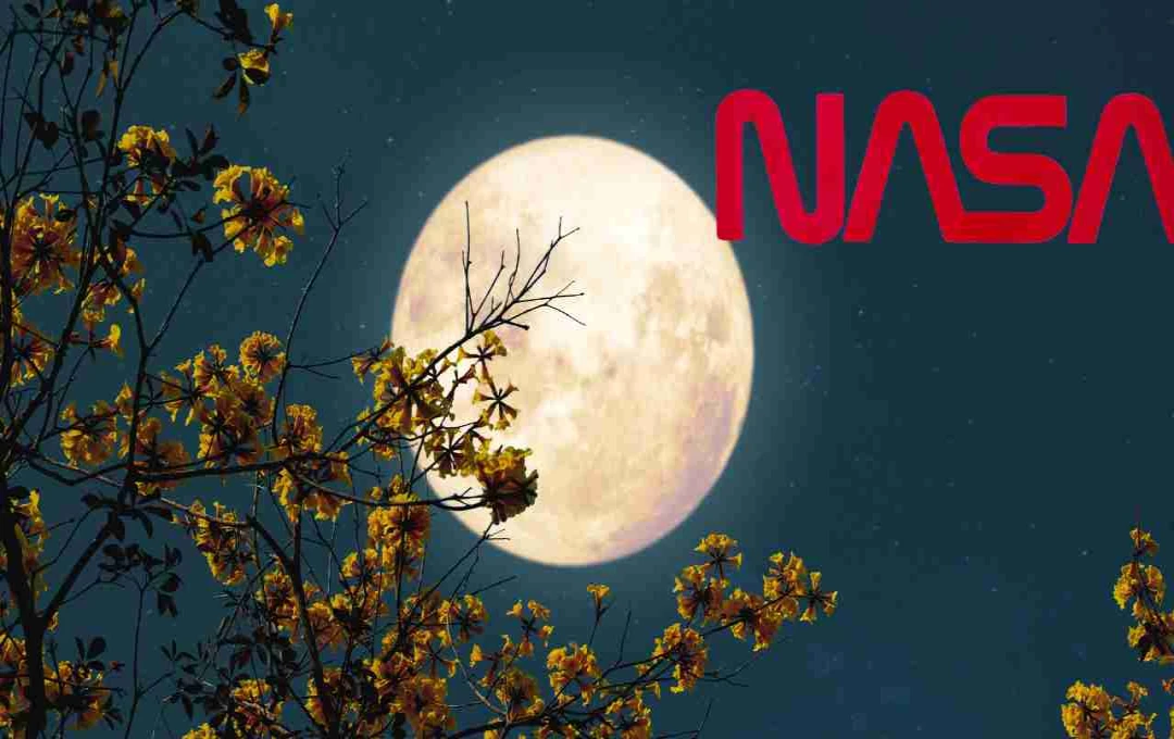 आज रात दिखेगा बेहद खास सुपरमून! 14% बड़ा और 30% ज्यादा चमकीला होगा चांद, NASA ने बताया इसका वैज्ञानिक कारण