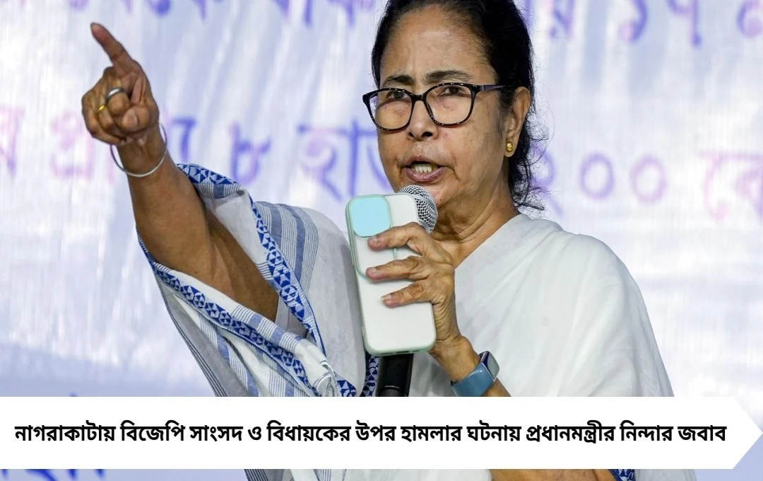 সুবিধাবাদী নাটক মন্তব্যে ক্ষুব্ধ মমতা, পালটা বললেন— আমি নাটক করি না, লড়াই করি!
