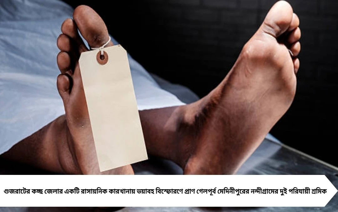 গুজরাটের কারখানায় ভয়াবহ বিস্ফোরণ! নন্দীগ্রামের দুই পরিযায়ী শ্রমিকের মর্মান্তিক মৃত্যু