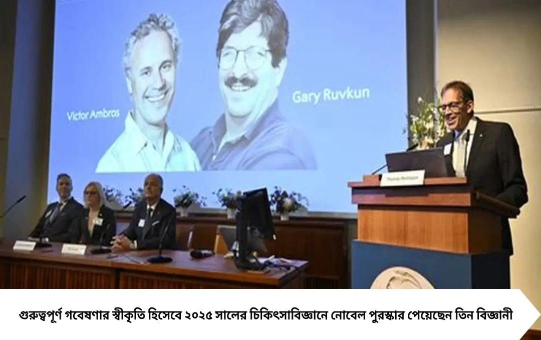 শরীরের প্রতিরোধ ক্ষমতা নিয়ে নোবেলজয়ী ত্রয়ী, চিকিৎসাবিজ্ঞানে ২০২৫ সালের স্বীকৃতি