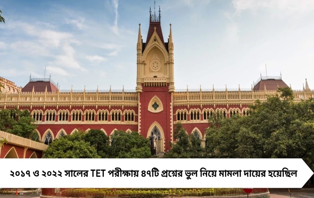 প্রাথমিক শিক্ষক নিয়োগে টেট অনুত্তীর্ণদের আবেদন, হাই কোর্টে শুনানি ৯ অক্টোবর