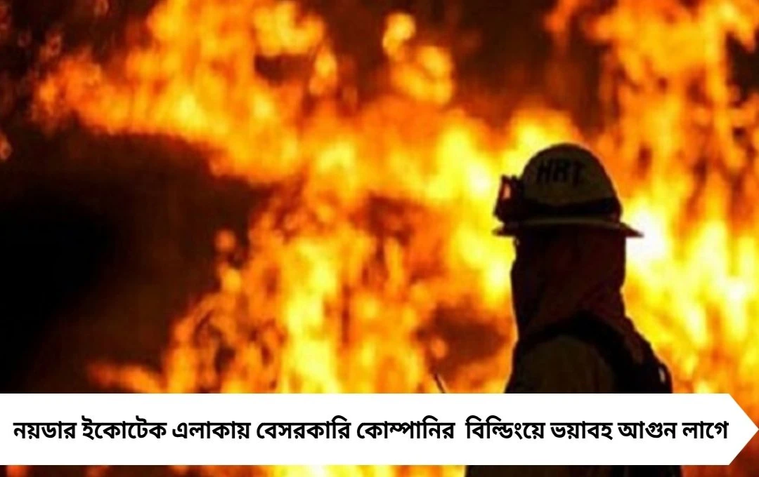 নয়ডায় ভয়াবহ অগ্নিকাণ্ড! বেসরকারি কোম্পানির বিল্ডিংয়ে আগুনে চাঞ্চল্য